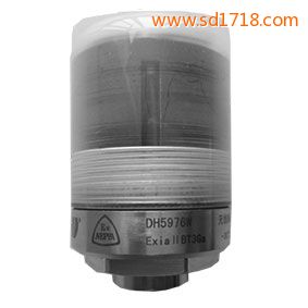無線軸承狀態監測器DH5976W