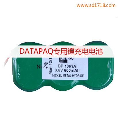 DATAPAQ爐溫測(cè)試儀電池BP 1061A